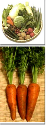 野菜写真